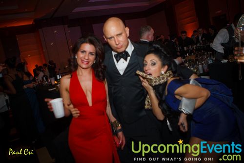 Hair O' The Dog (Gallery A)