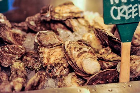 Doc Magrogan's Deck Launch