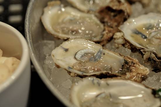 Doc Magrogan's Deck Launch