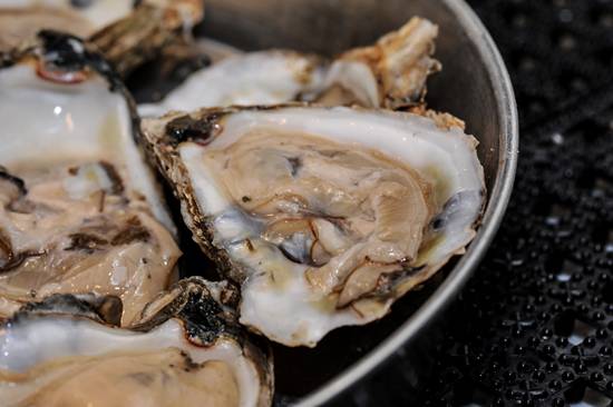 Doc Magrogan's Deck Launch