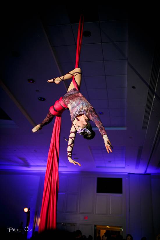 Hair 'O The Dog 2014