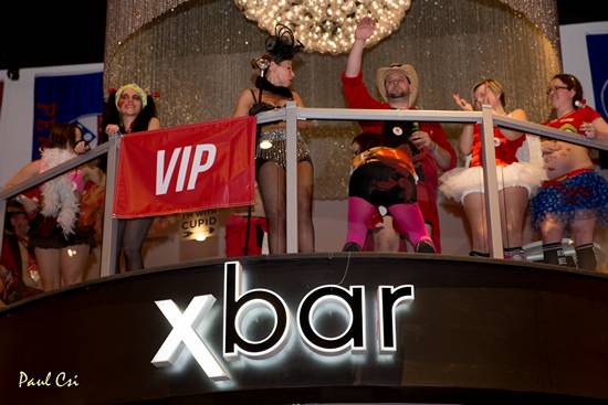 Cupid's Undie Run 2014