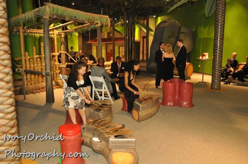 The 2009 Red Ball at The Please Touch Museum