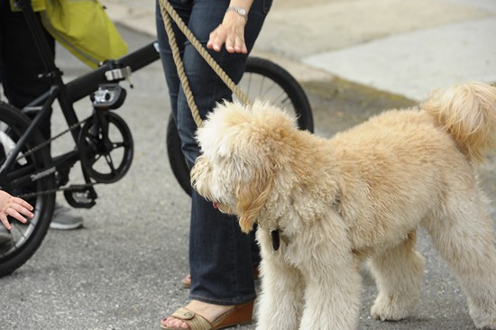 Night Market - Old City