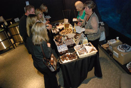 Hot Chocolate @ The Adventure Aquarium
