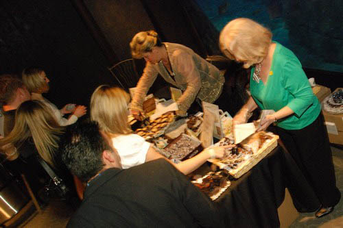 Hot Chocolate @ The Adventure Aquarium