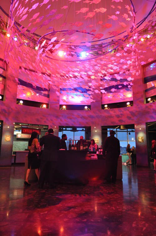 Hot Chocolate @ The Adventure Aquarium