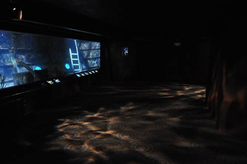 Hot Chocolate @ The Adventure Aquarium