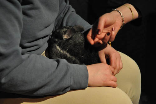 Hot Chocolate @ The Adventure Aquarium