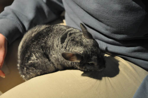 Hot Chocolate @ The Adventure Aquarium