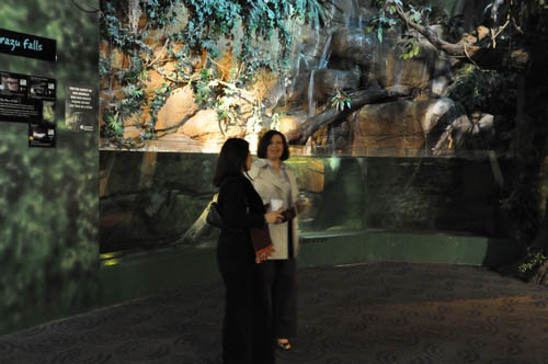 Hot Chocolate @ The Adventure Aquarium