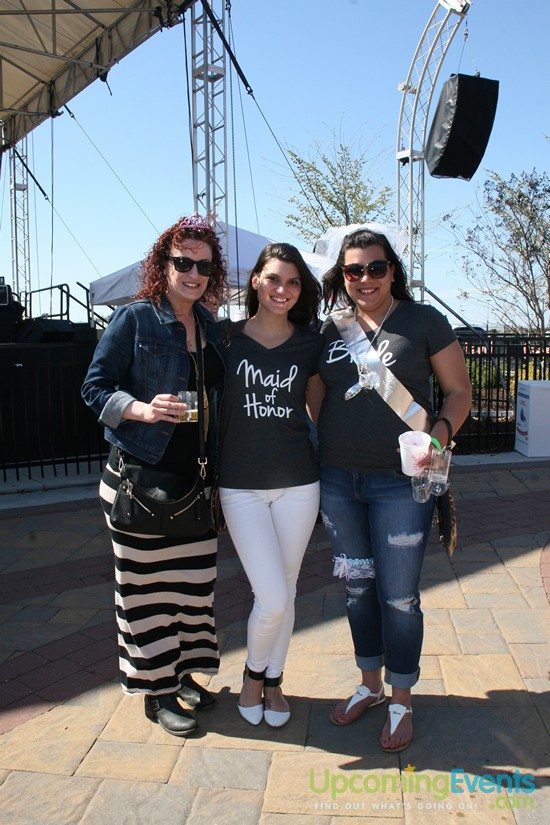Springfest Live! Craft Beer Fest (Gallery B)