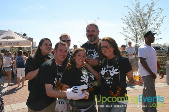 Springfest Live! Craft Beer Fest (Gallery B)