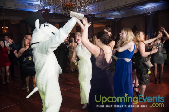 Hair O' The Dog 2016 (Gallery 2)