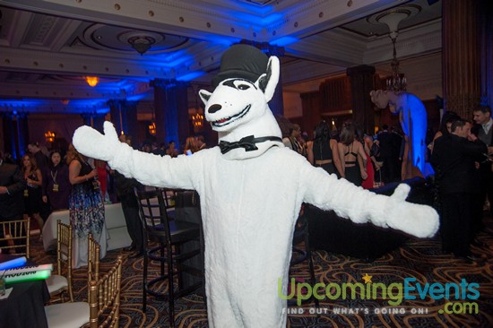 Hair O' The Dog 2016 (Gallery 2)