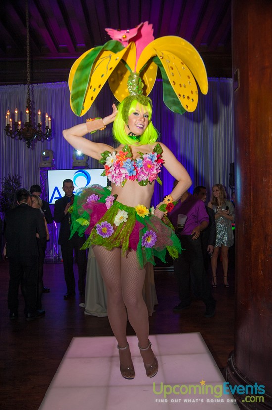 Hair O' The Dog 2016 (Gallery 2)