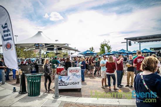 Springfest Live! 2016 (Gallery A)