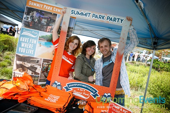 Springfest Live! 2016 (Gallery A)