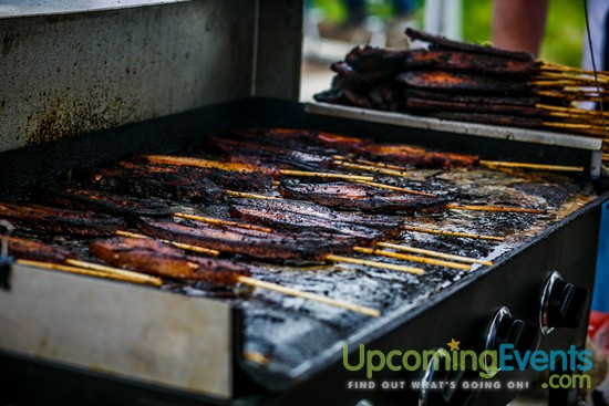 Springfest Live! 2016 (Gallery A)