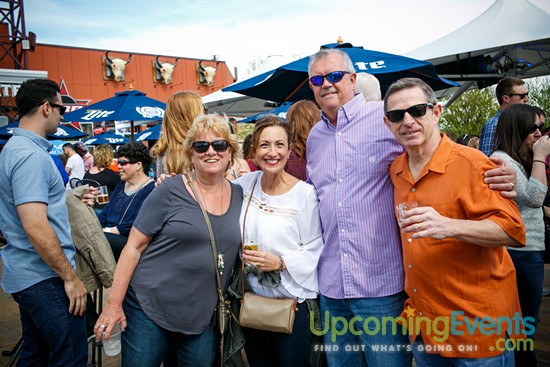 Springfest Live! 2016 (Gallery A)