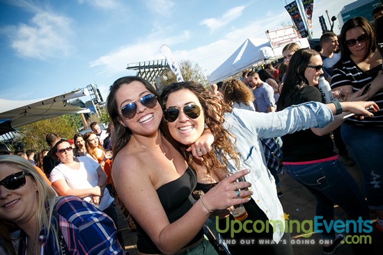 Springfest Live! 2016 (Gallery A)