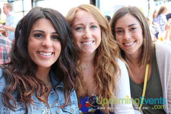 Springfest Live! 2016 (Gallery D)