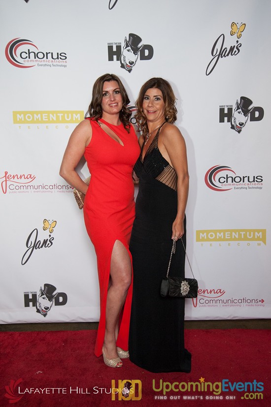 Hair O' The Dog 2017 (Red Carpet)