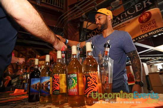 All Star Craft Beer & Wine Festival - Gallery 7