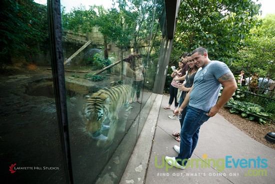 Summer Ale Festival at The Zoo!