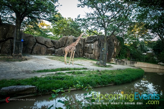 Summer Ale Festival at The Zoo!