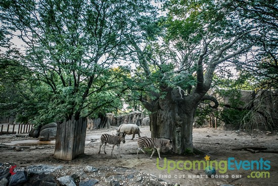 Summer Ale Festival at The Zoo!