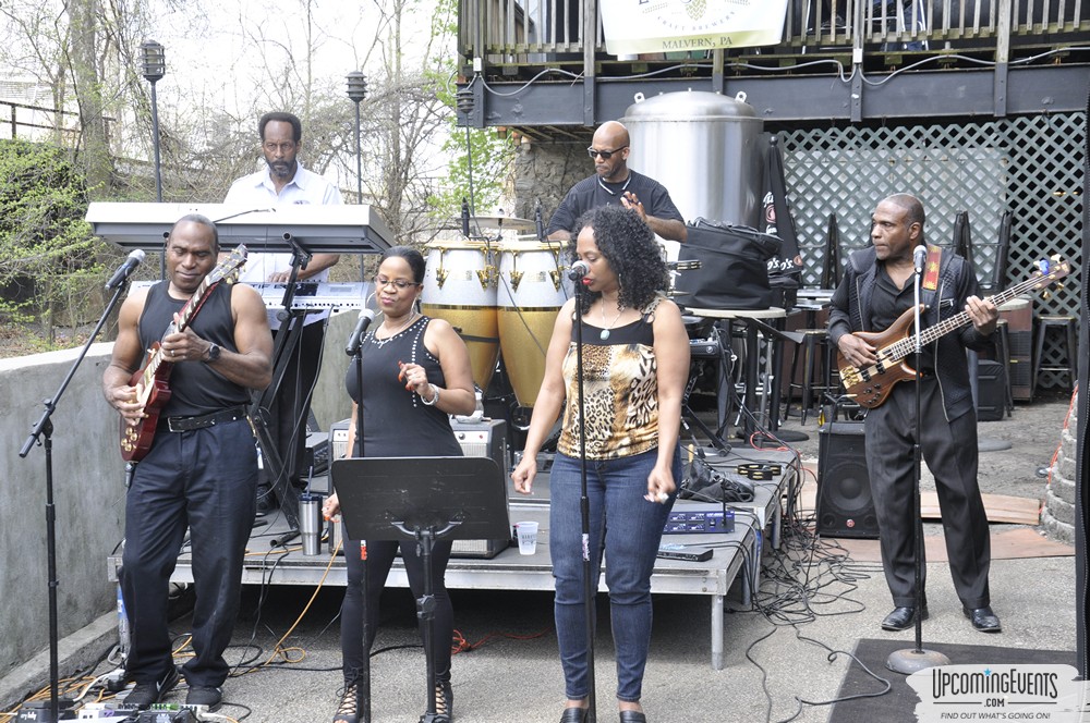 20th Annual Manayunk Brew & Rum Fest