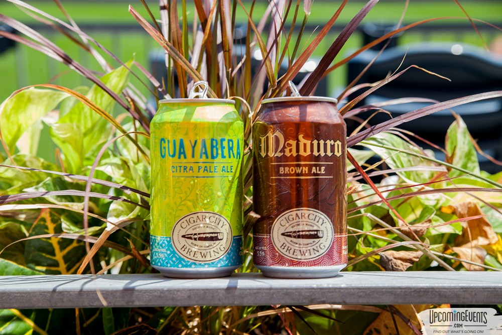 Pittsburgh All Star Festival 2018 - Gallery 2