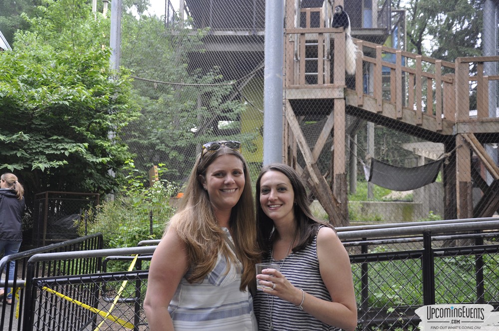 Summer Ale Festival at The Phladelphia Zoo