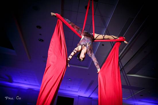 Hair 'O The Dog 2014