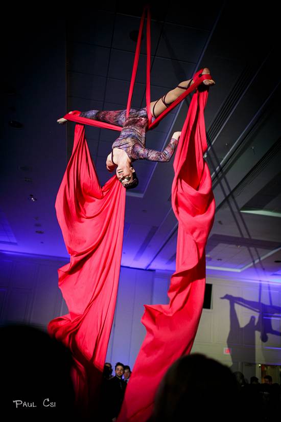 Hair 'O The Dog 2014