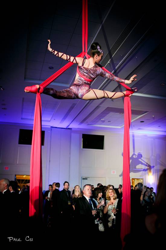 Hair 'O The Dog 2014