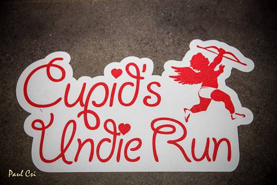 Cupid's Undie Run 2014