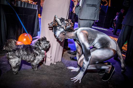 17th Annual Philly Fur Ball