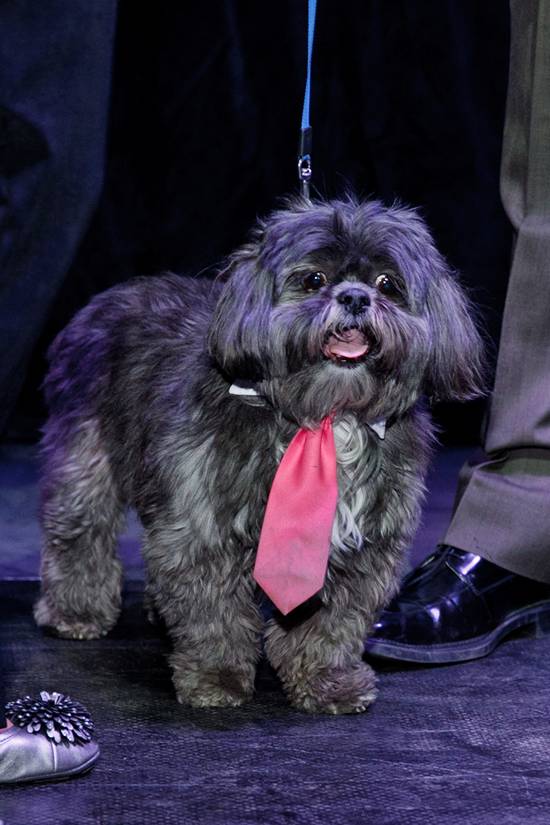 17th Annual Philly Fur Ball