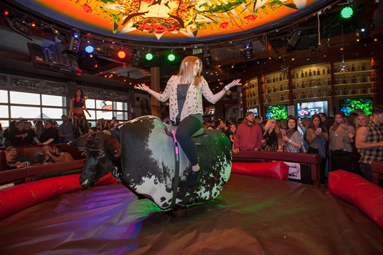 Winterfest Live! 2015 (Gallery B)