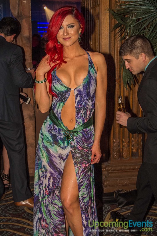 Hair O' The Dog 2016 (Gallery 1)