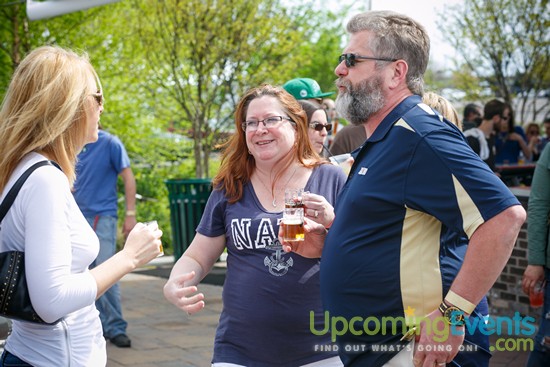 Springfest Live! 2016 (Gallery A)