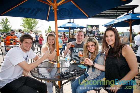 Springfest Live! 2016 (Gallery A)