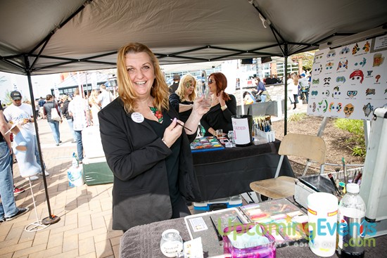 Springfest Live! 2016 (Gallery A)