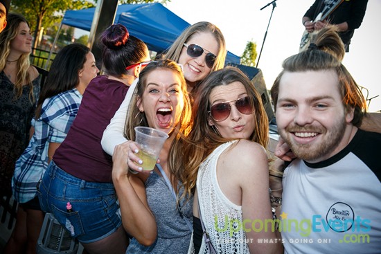 Springfest Live! 2016 (Gallery A)