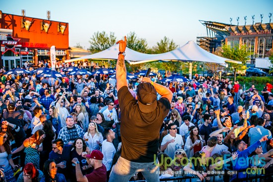 Springfest Live! 2016 (Gallery A)