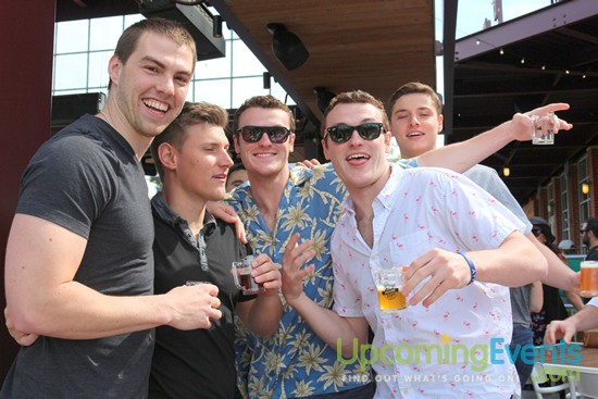 Springfest Live! 2016 (Gallery C)