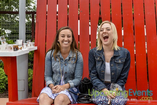 All Star Craft Beer & Wine Festival - Gallery 5