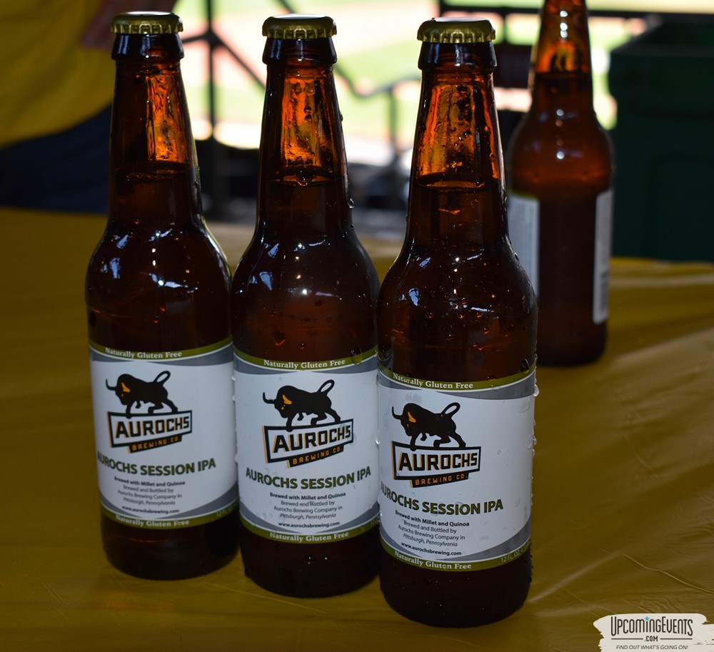 Pittsburgh All Star Festival 2018 - Gallery 3